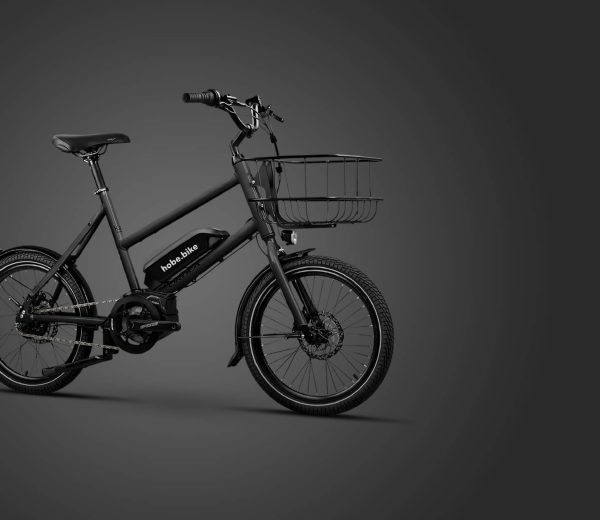 Bicicleta eléctrica